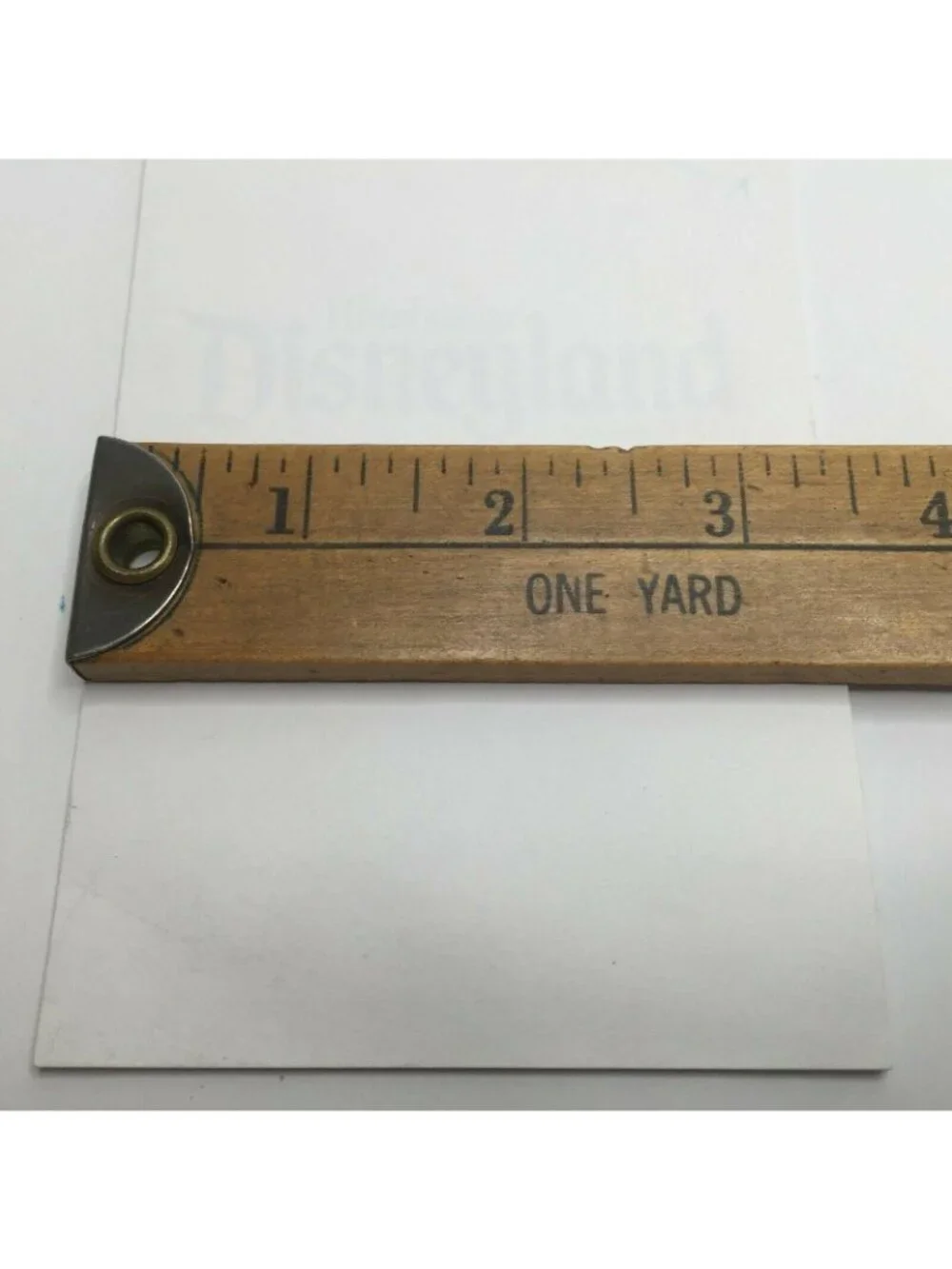 Disneyland Hotel Notepad Paper Souvenir Park 5.5